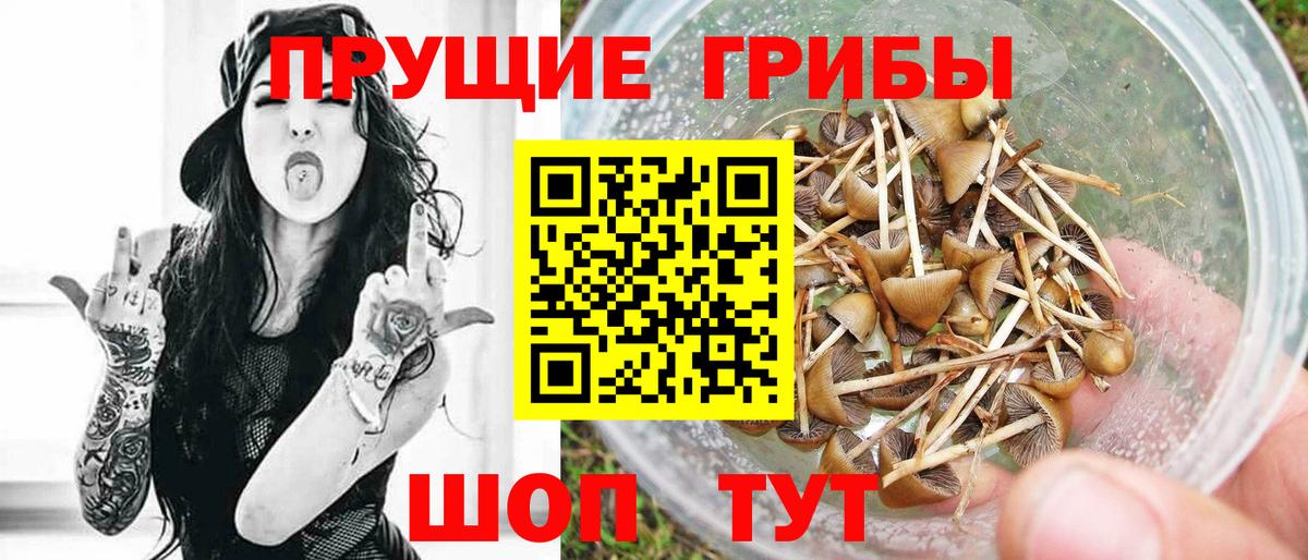 Лесозаводск  Галлюциногенные грибы мухоморы  даркнет сайт  Вход с VPN 
